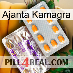 Ajanta Kamagra new12